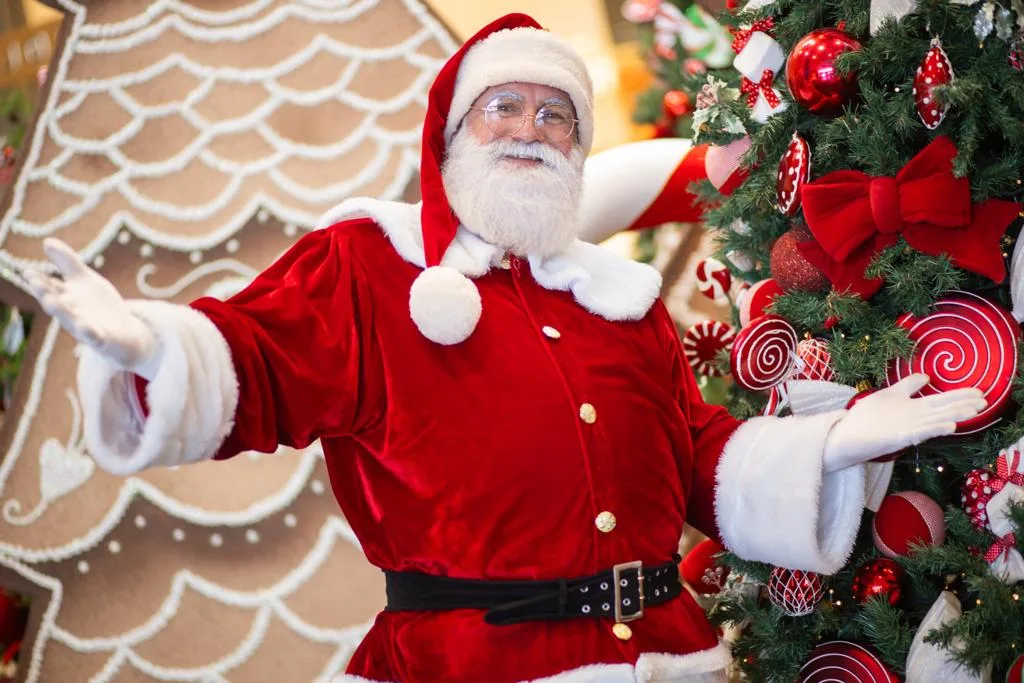 Árvore dos Sonhos do Balneário Shopping irá beneficiar crianças do Lar da Criança Feliz