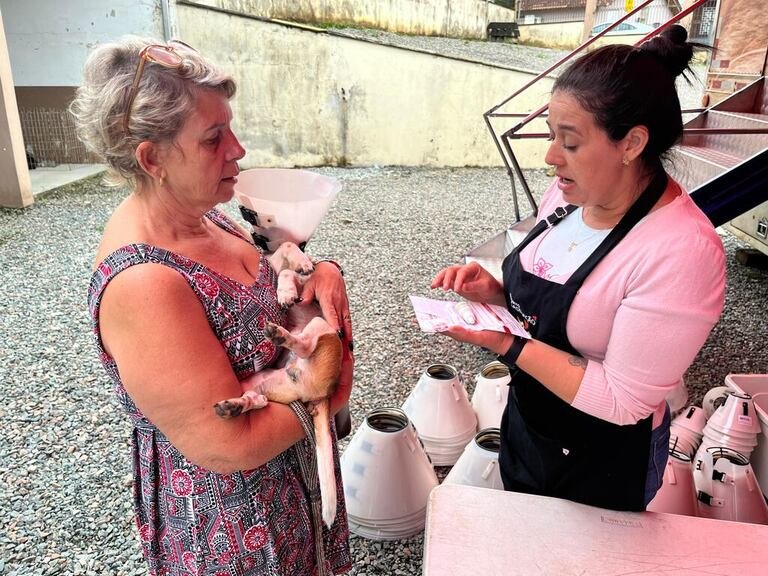 Balneário Piçarras castrou 400 animais no primeiro trimestre de 2024